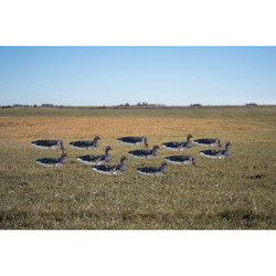GHG Pro Grade Specklebelly Windsock Goose Decoys With Painted Heads 12 Pack
